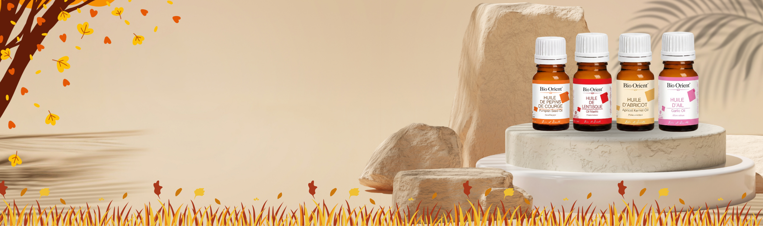banner shop 2
