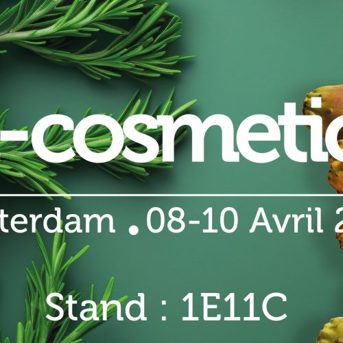 WhatsApp Image 2025-04-02 at 15.05.37